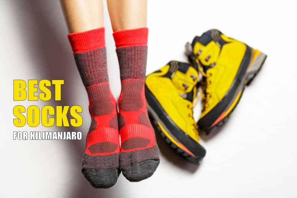 Hiking Sock Guide - Everything You Need to Know — Hippy Feet
