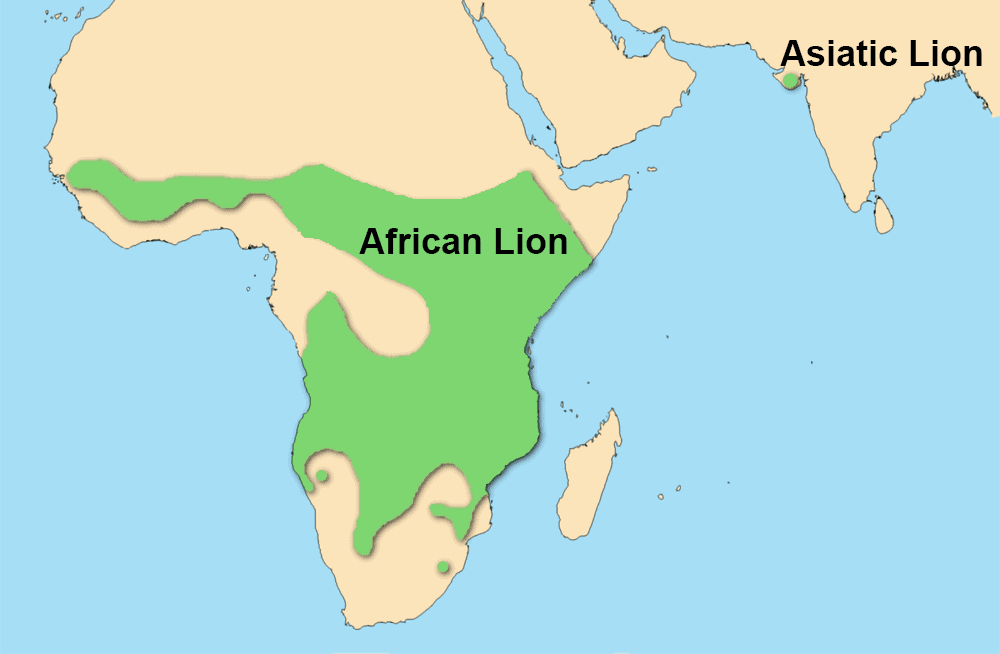 asiatic lion map