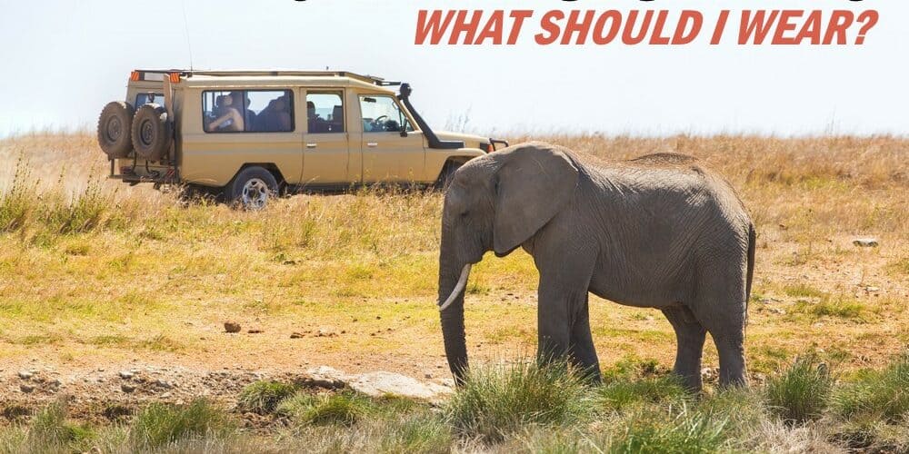 What to Wear on Safari (Best Clothing)