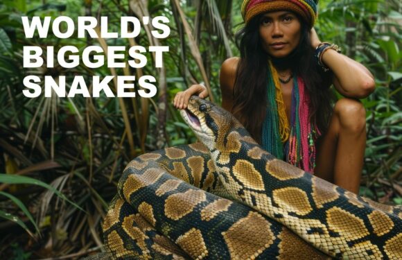 The 10 Biggest Snakes in the World